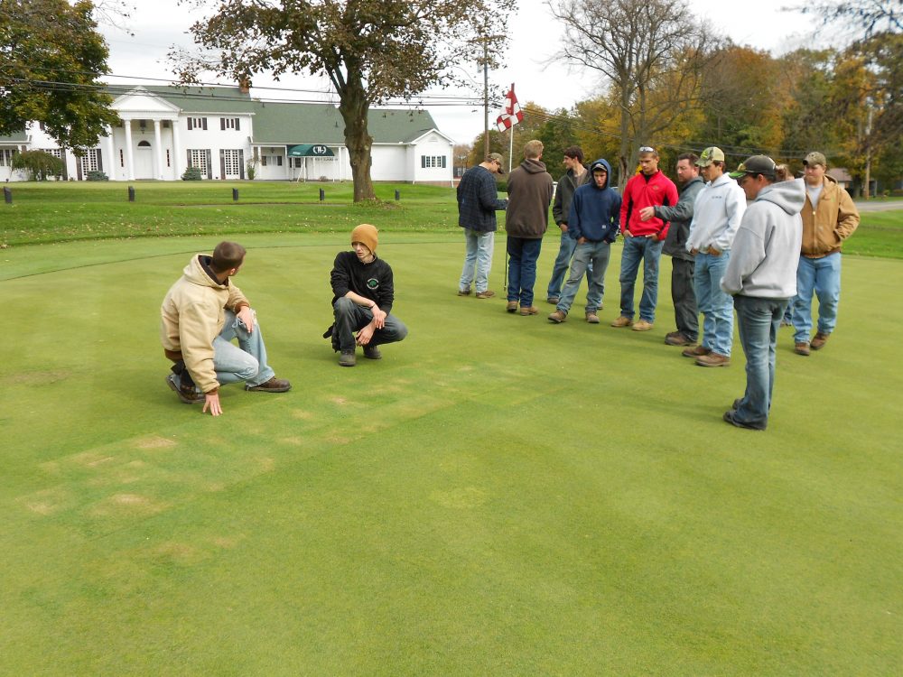 Students looking at golf field turf