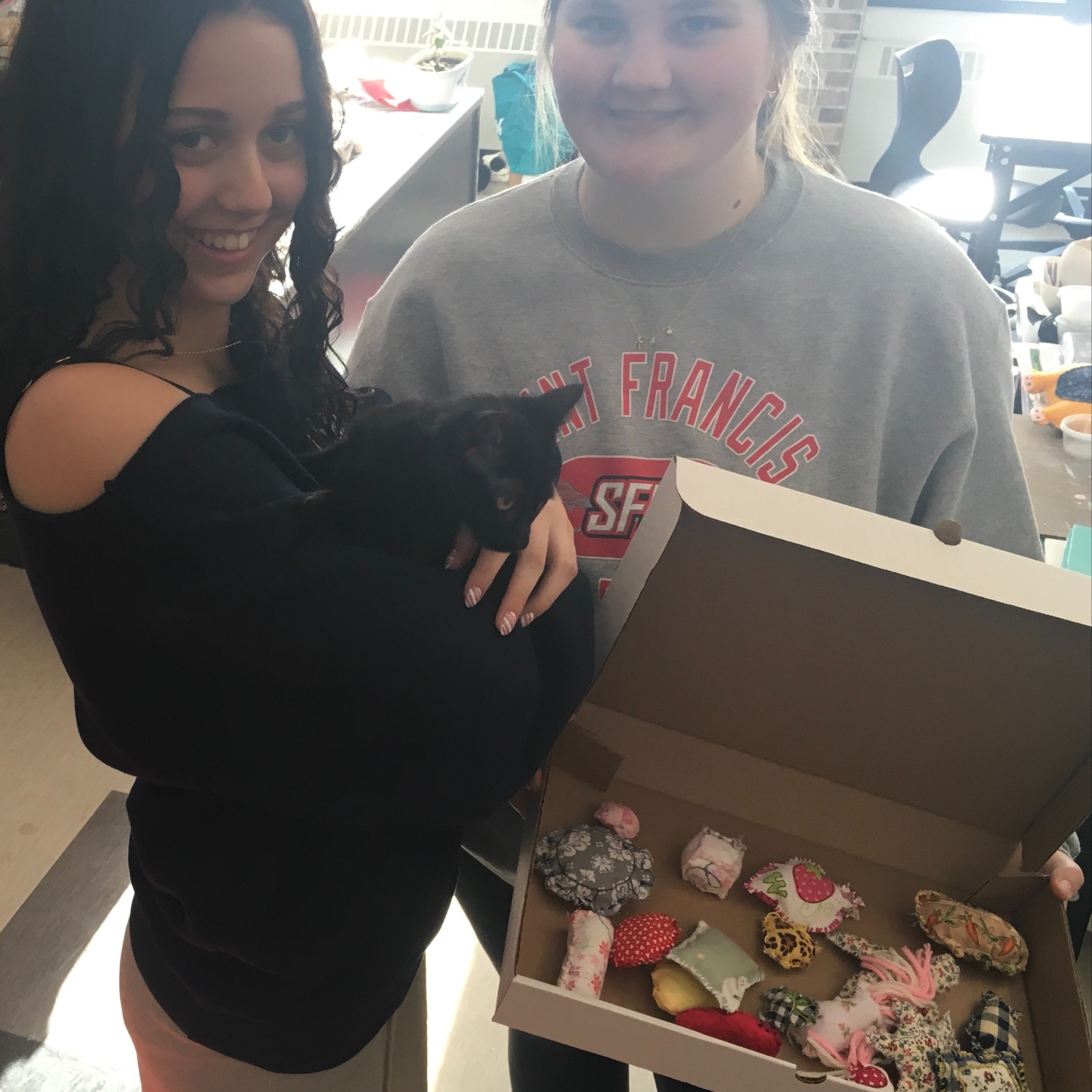 Fiber Arts Kitten Toys