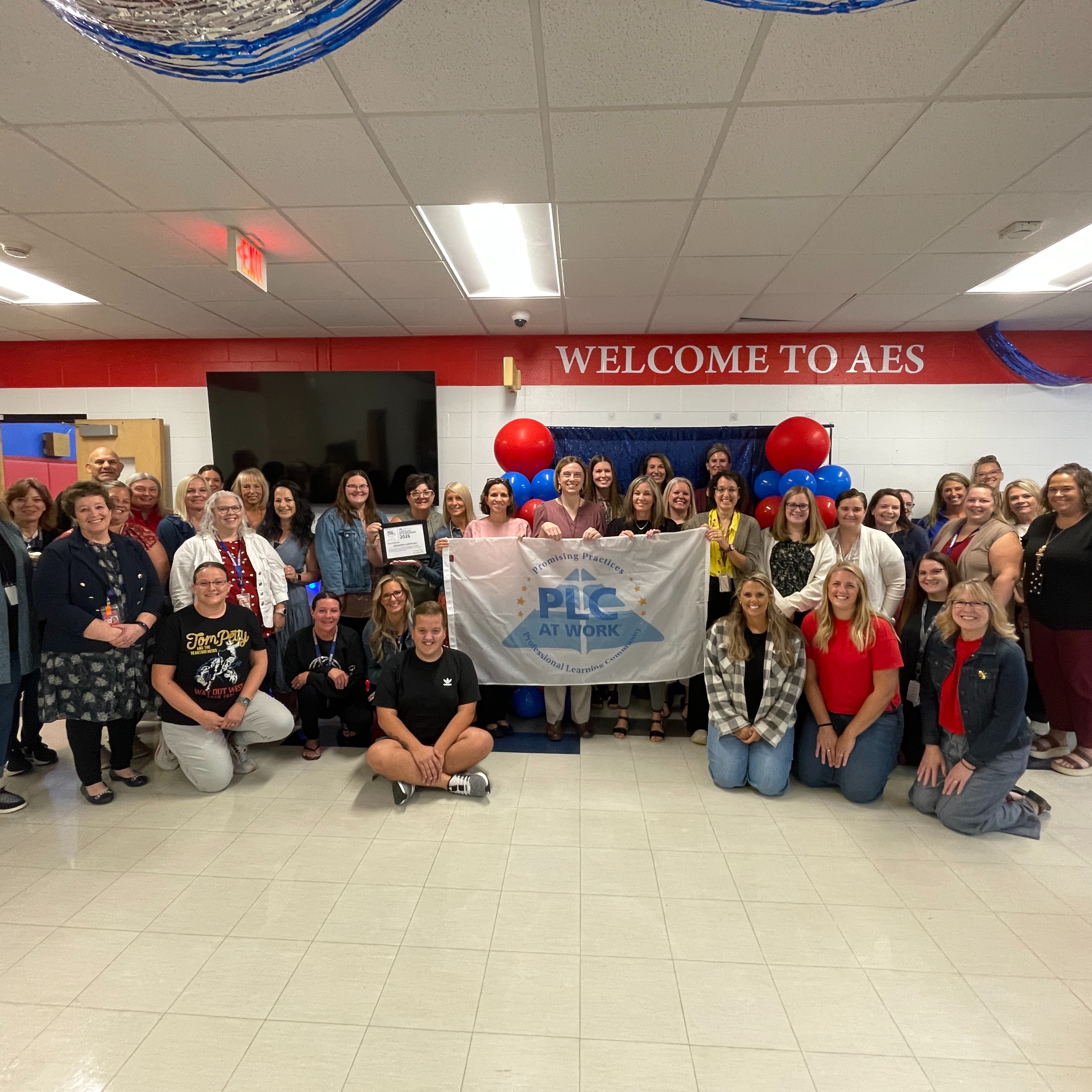 AES Promising Practices School Award