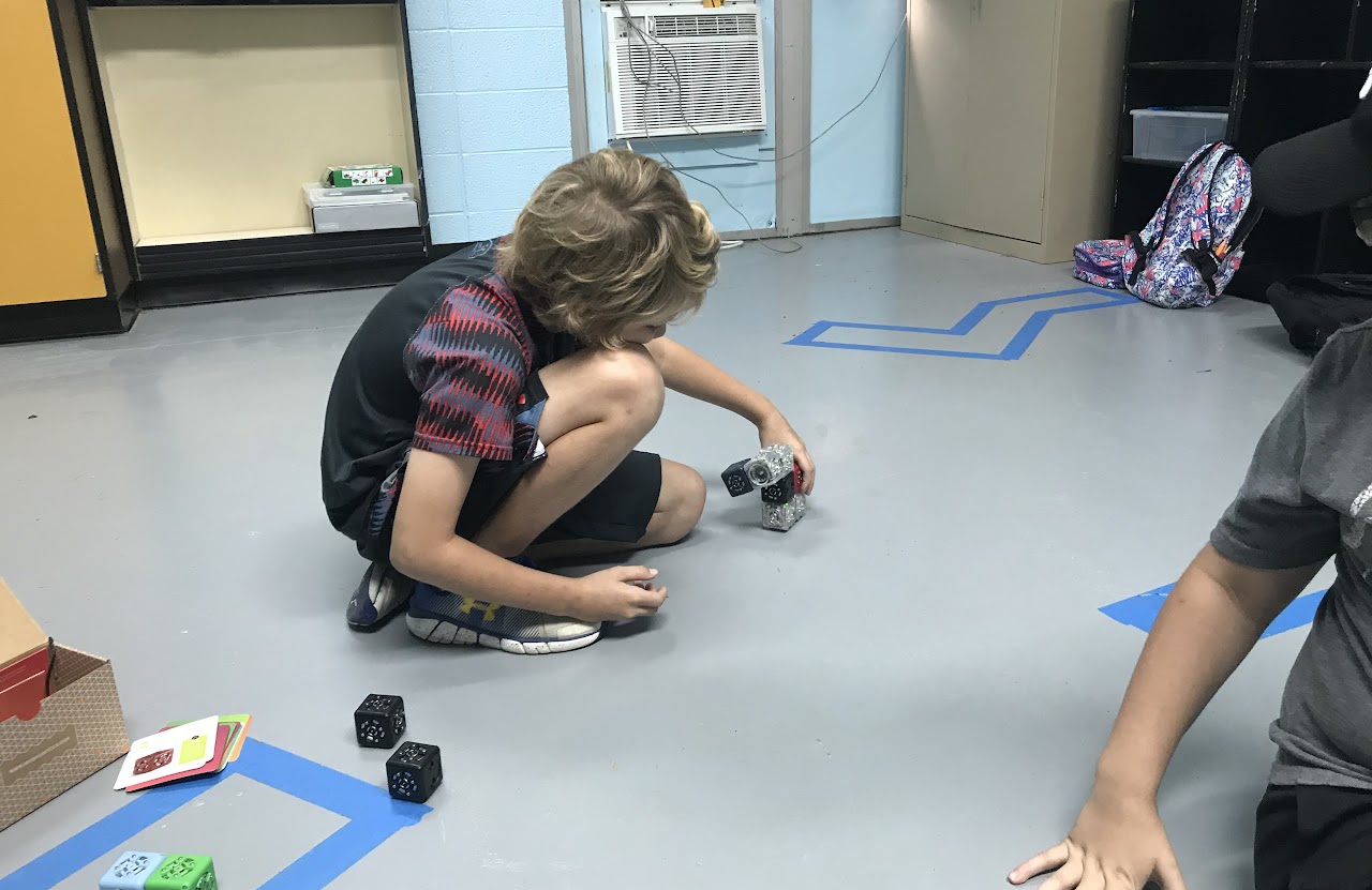 Programming Cubelet Robots