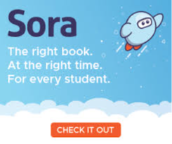 Sora flyer the right book at the right time for every student