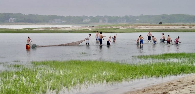 Sage Park Cape Cod Trips Remembered