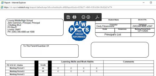 Internet Explorer Report Card view