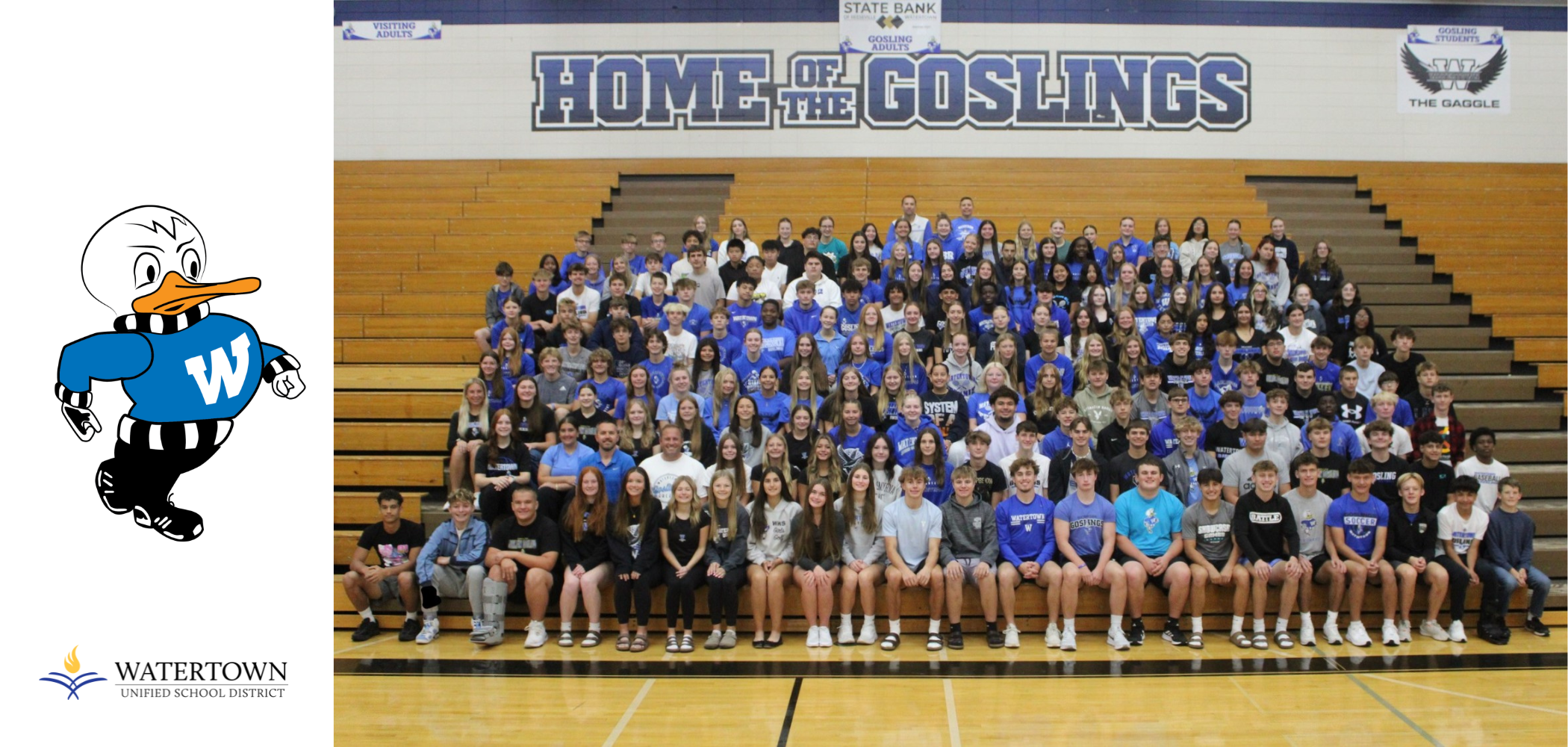 WHS Student Athletes