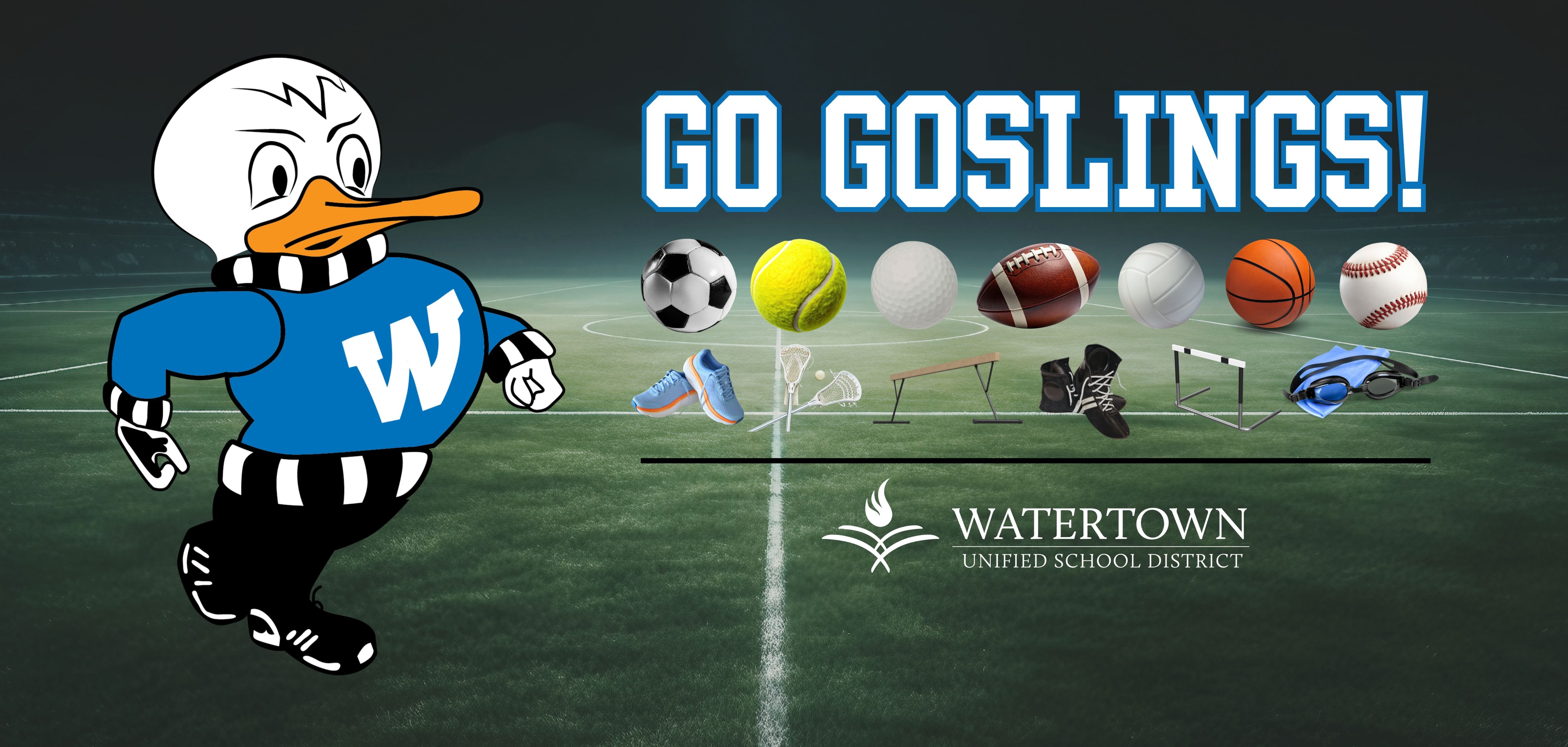 WHS Student Athletes