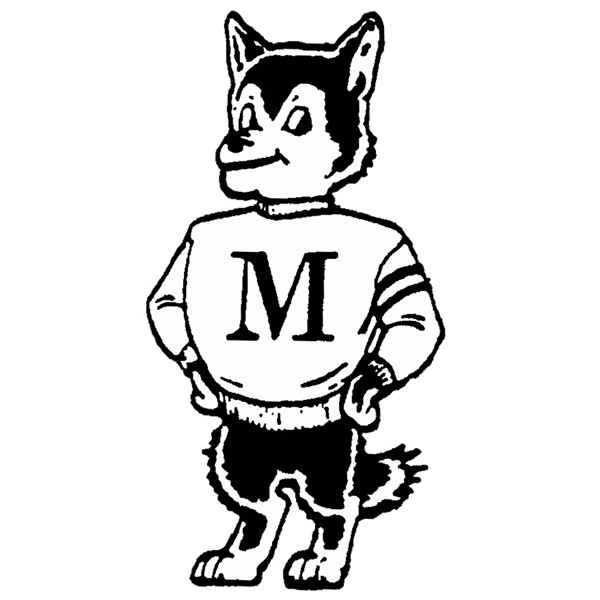 Mire Elem mascot