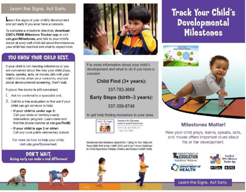 Track your Child's Developmental Milestones flyer