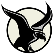 Field Elementary Logo (Falcons)