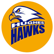 Hughes Elementary Logo (Hawks)