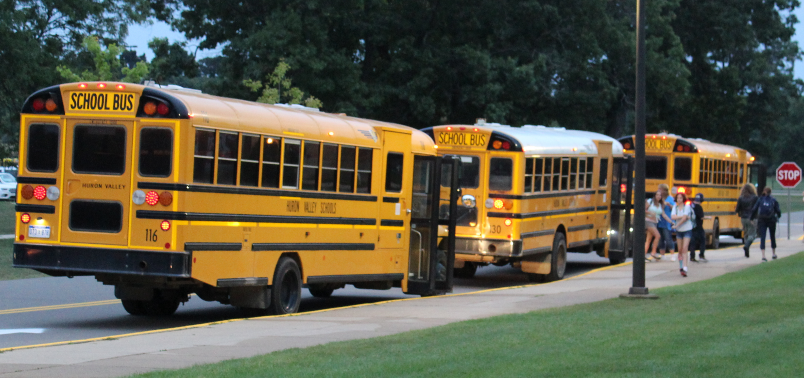 HVS busses
