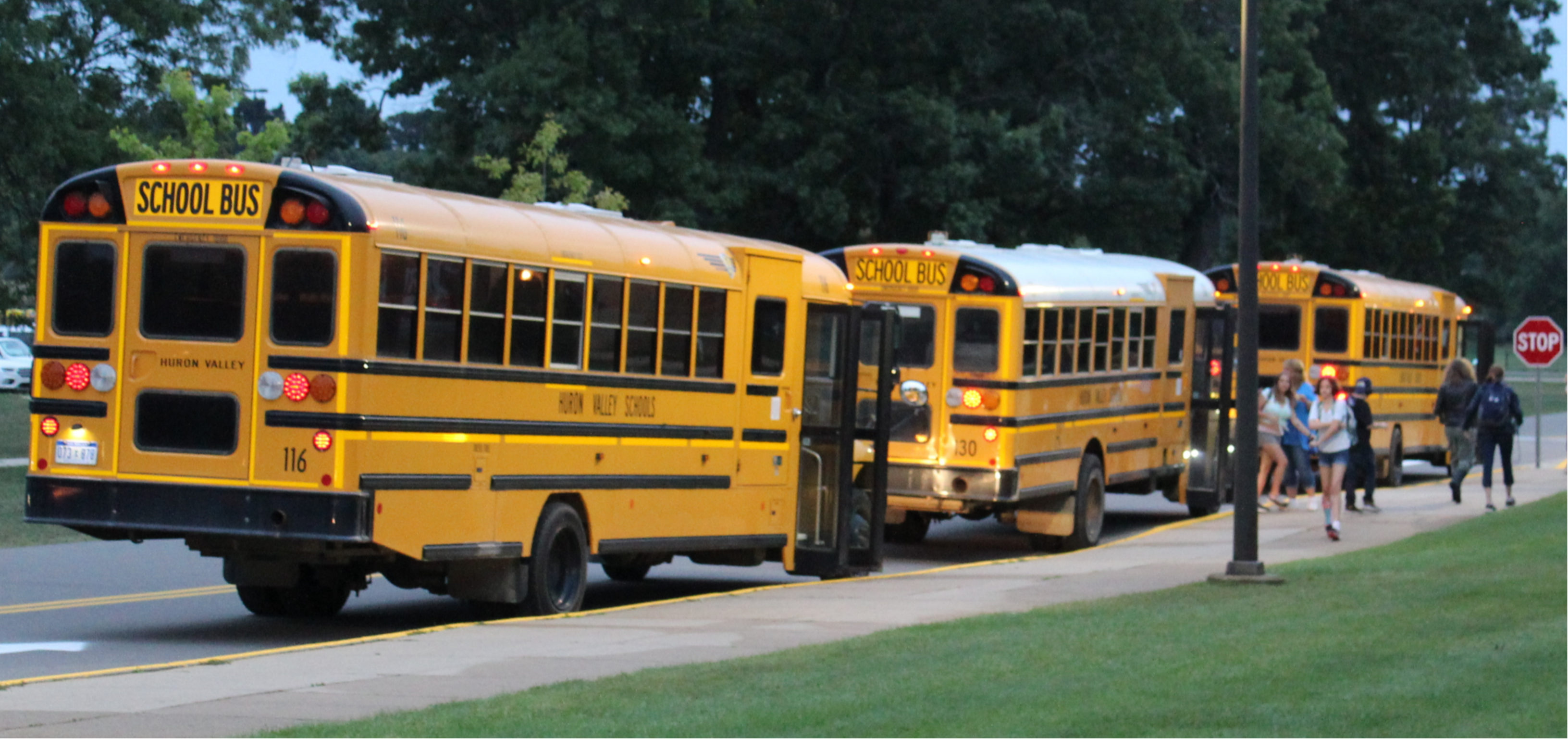 HVS school busses