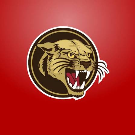 cougar