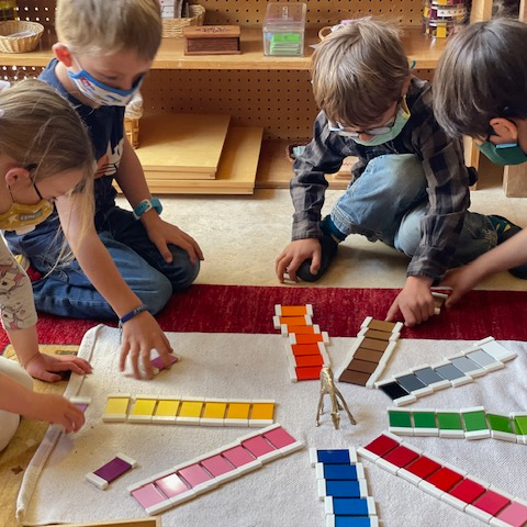 Montessori  Program