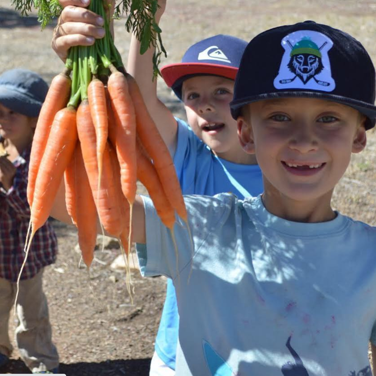 Lower School Program