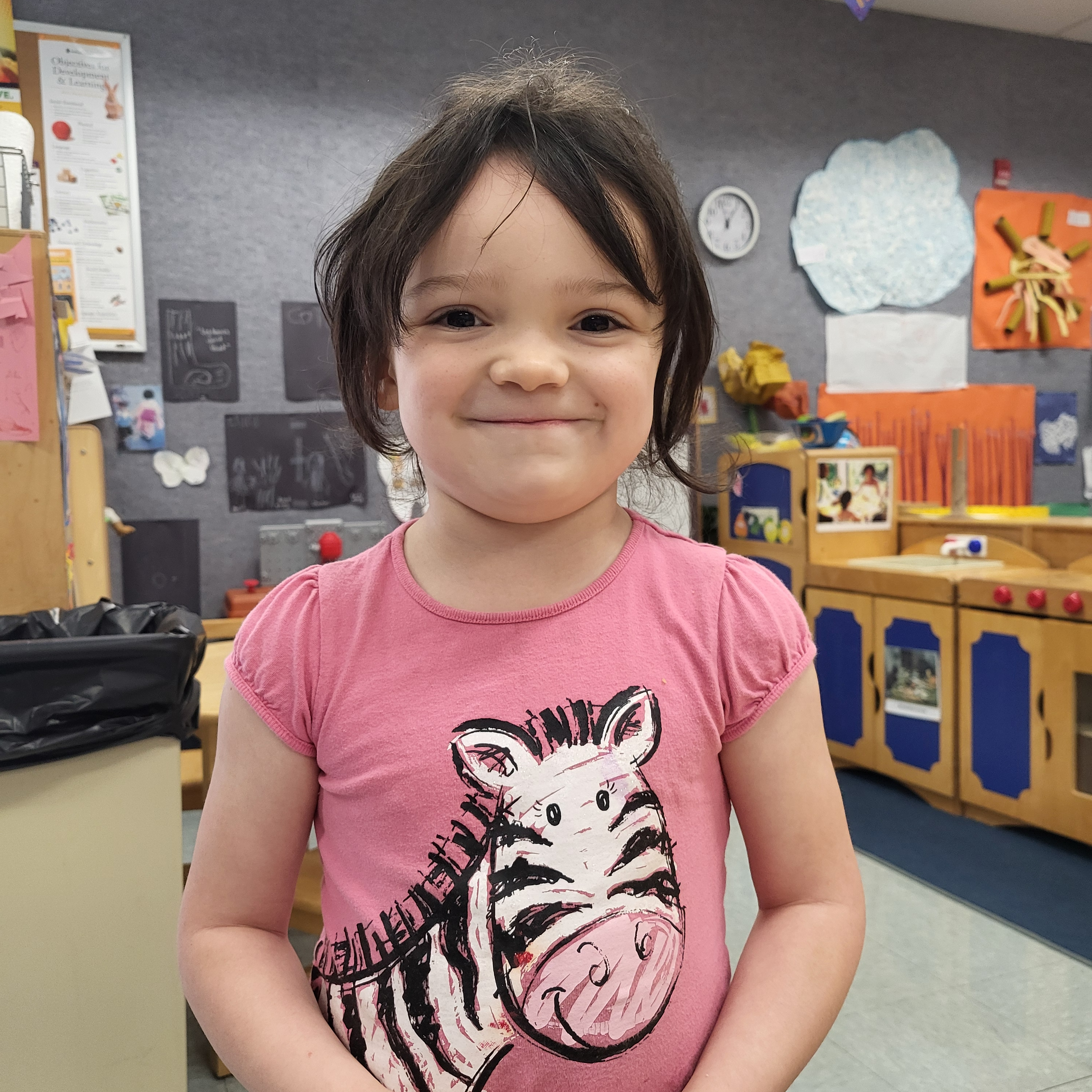Young girl with dark hair wearing a pink t-shirt with a zebra