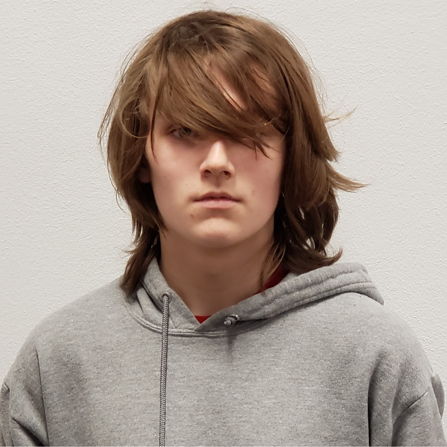 young man with messy brown hair across his face wearing a gray hoodie
