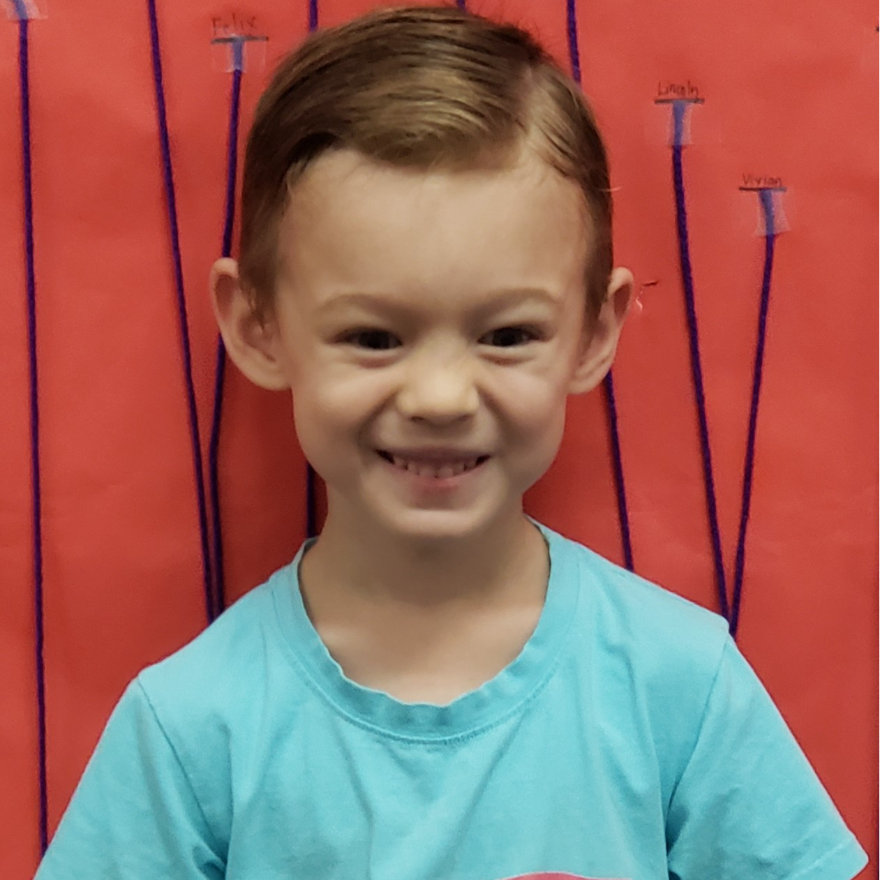 smiling young boy with dark blonde hair parted on the side wearing a light blue t-shirt