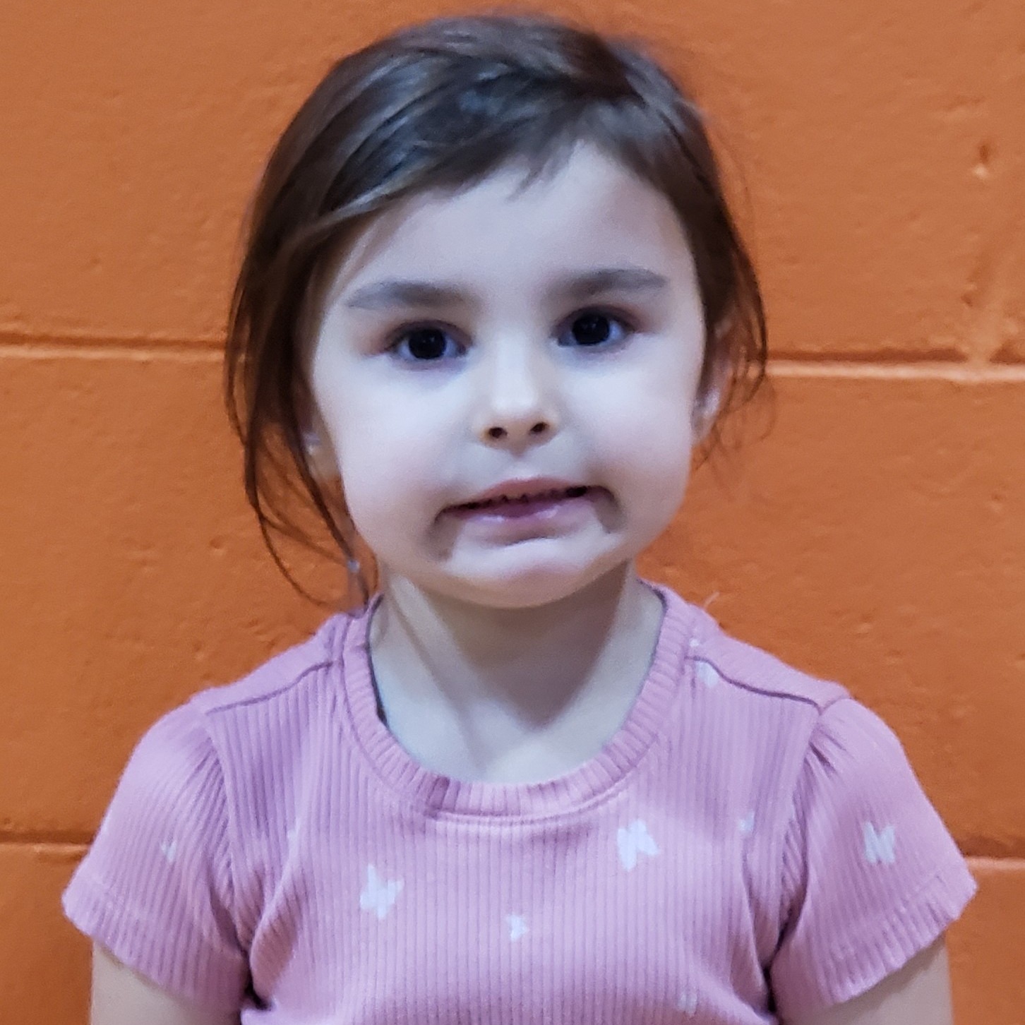 little girl with dark hair pulled back wearing a pink shirt with white butterflies