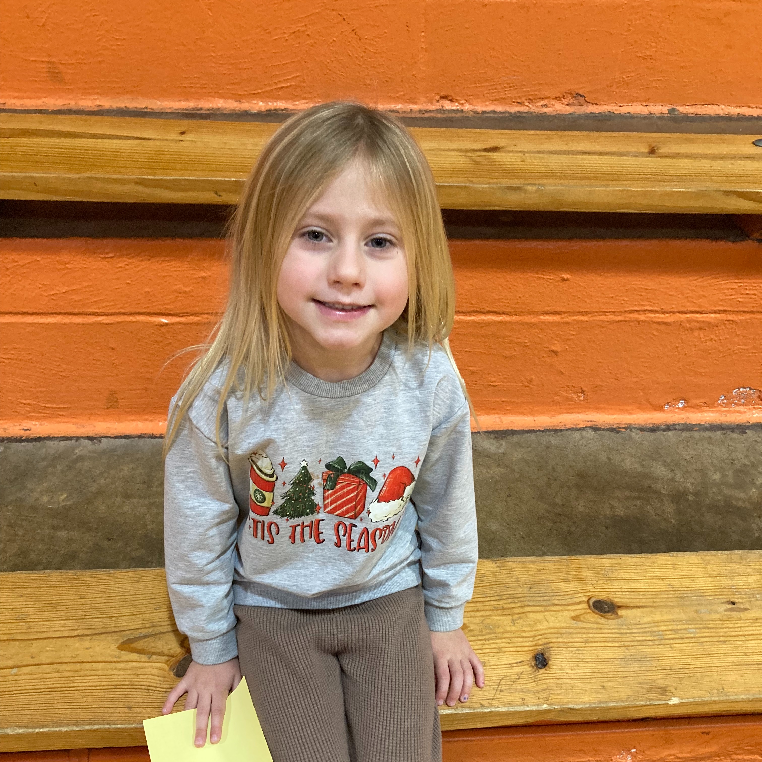 smiling young girl with straight blonde hair and a grey sweatshirt