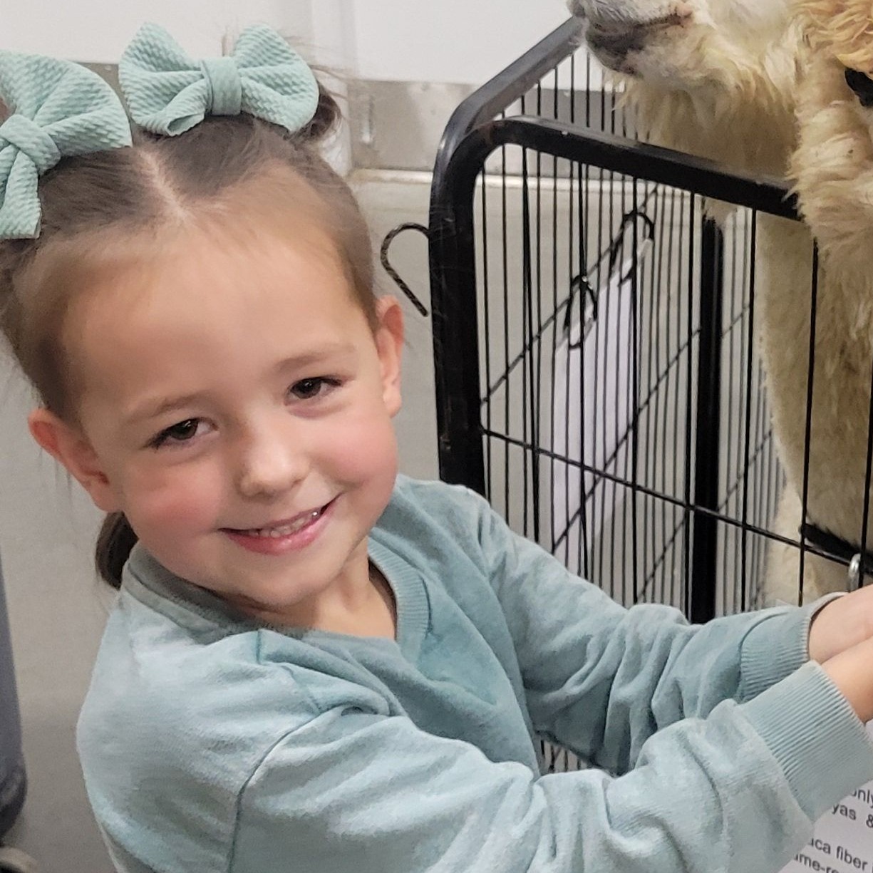 young girl with brown hair pulled up in pig tails with light green bows