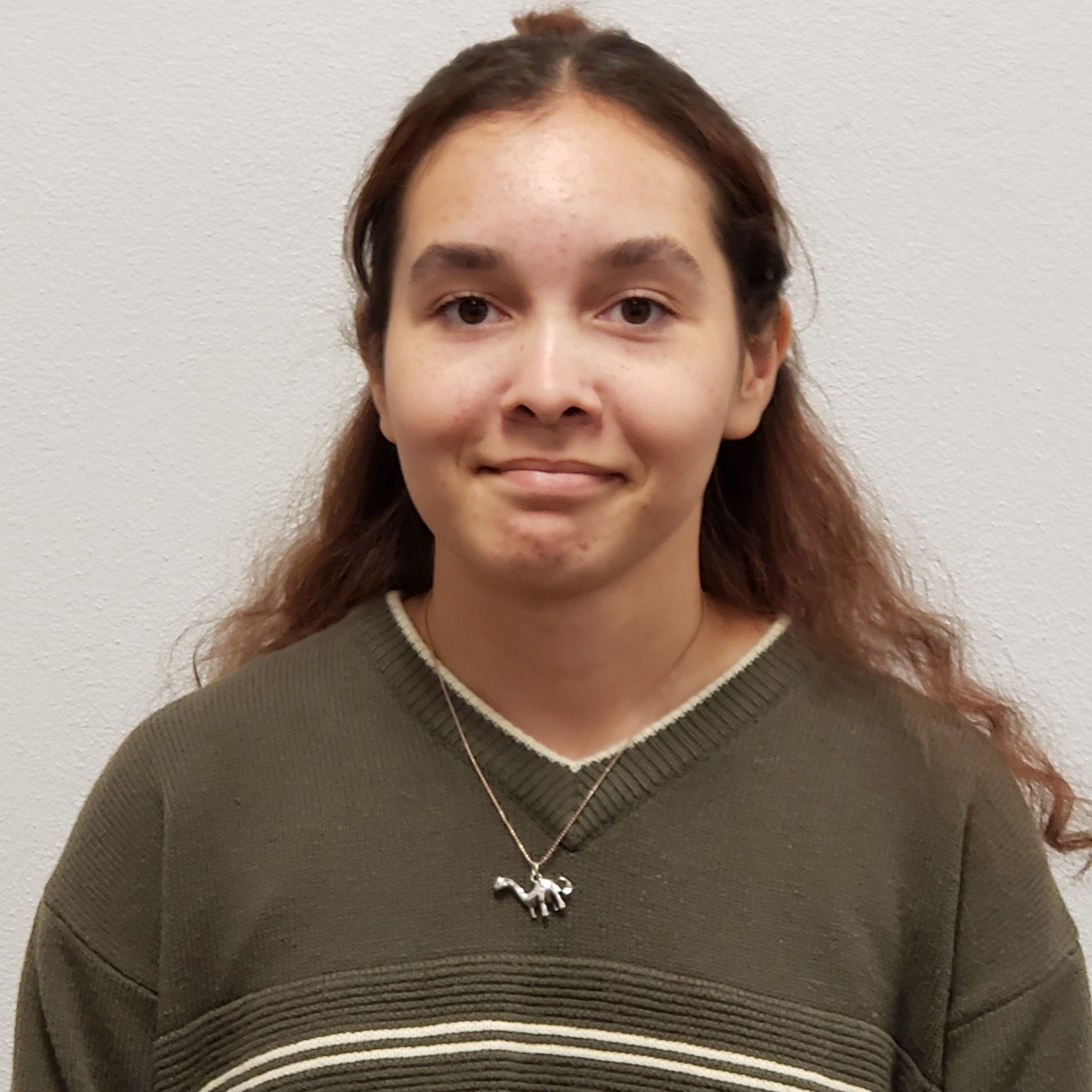 smiling young lady with long brown hair wearing a gray sweater with a dinosaur necklace