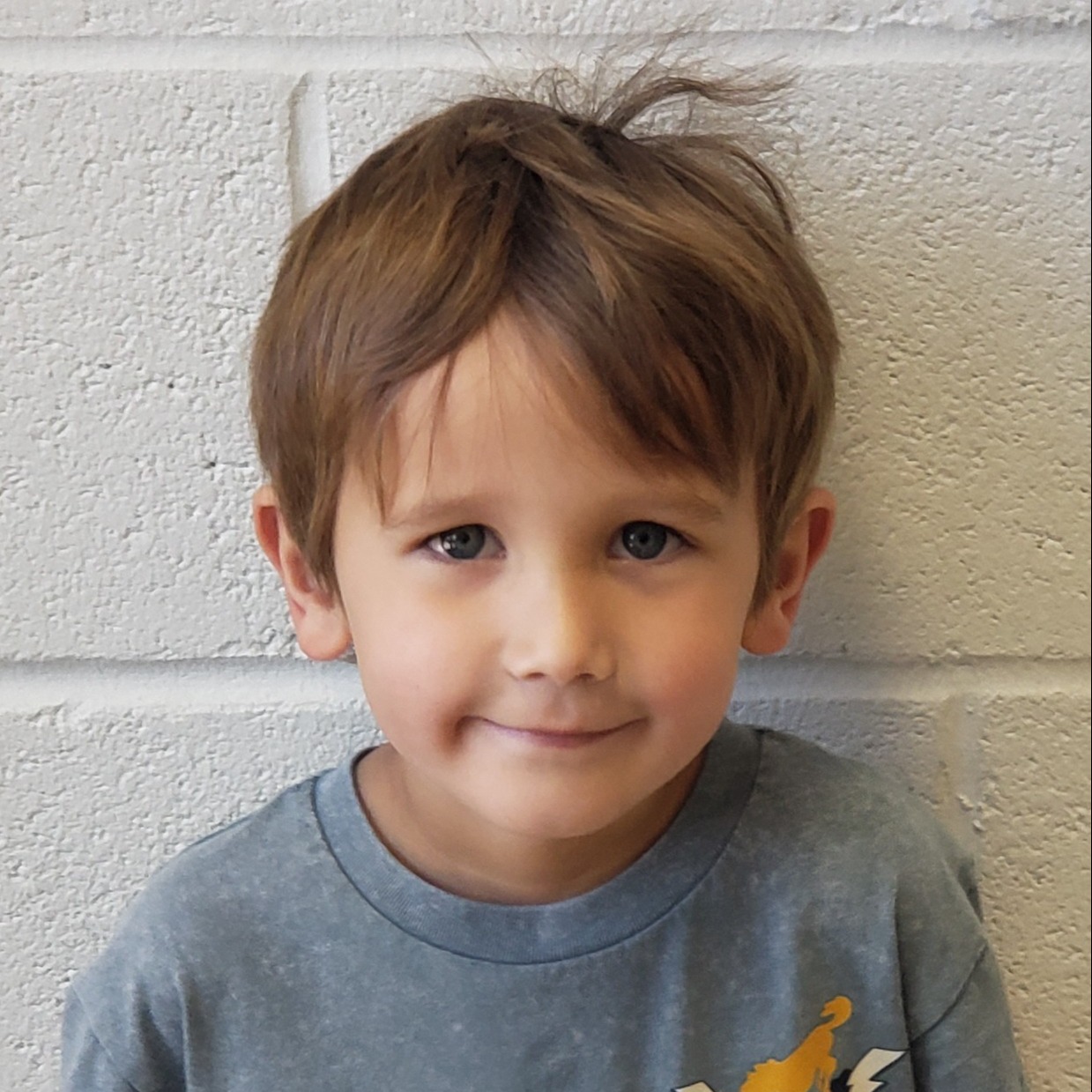 grinning little boy with brown hair wearing a gray t-shirt