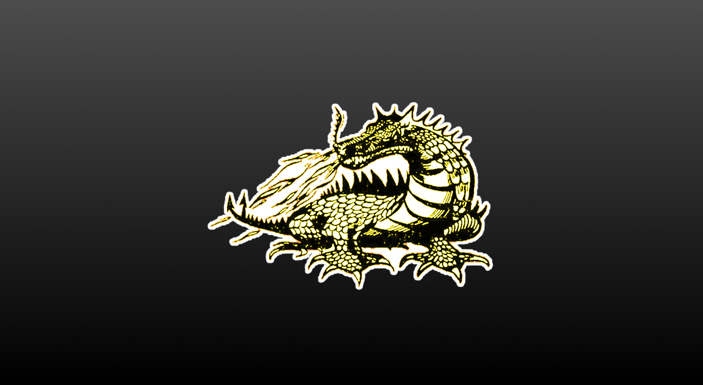 Large dragon logo on black background