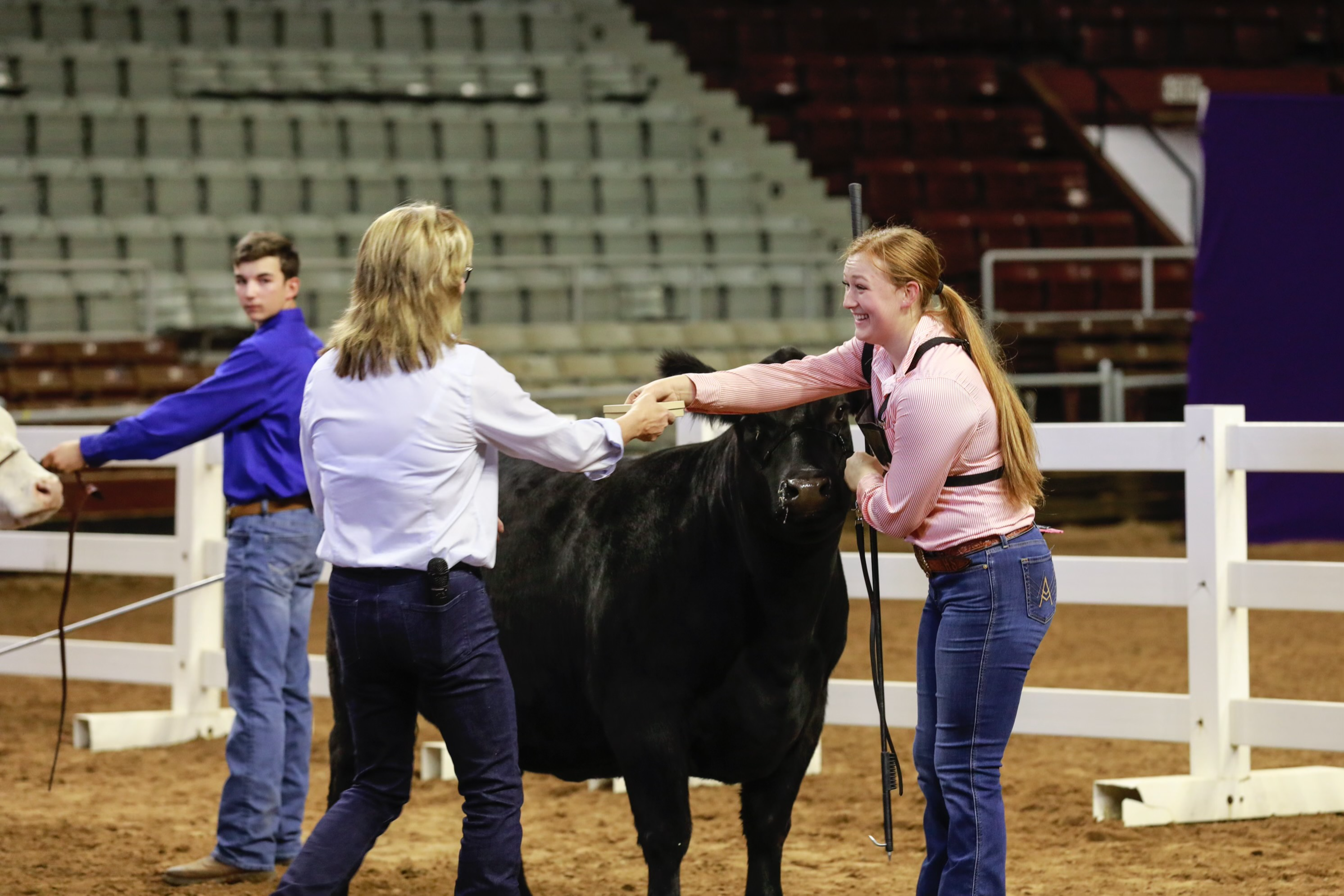 FFA student and cow