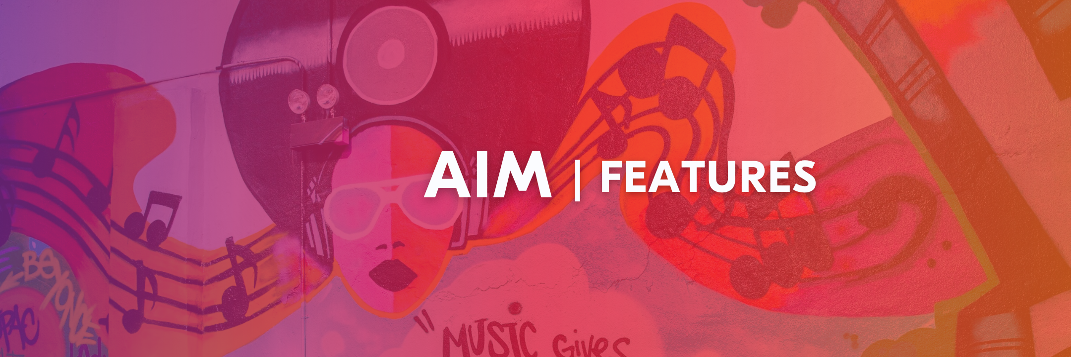 AIM Features