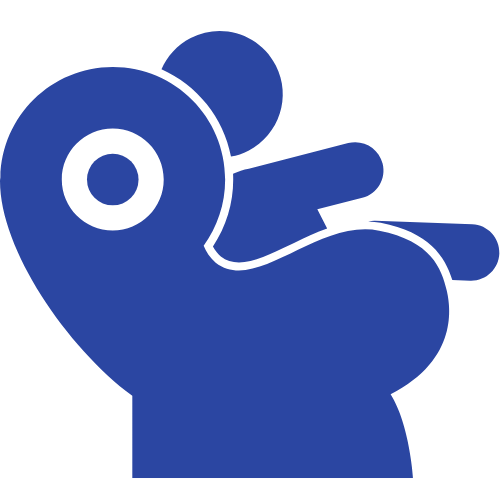 Car Seat Safety Info Rains ISD