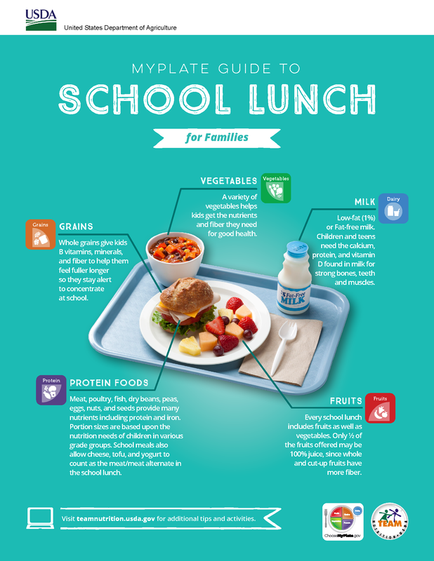 School Lunch for Families Infographic