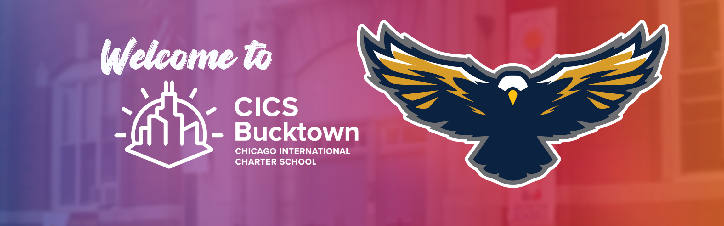 Bucktown header image