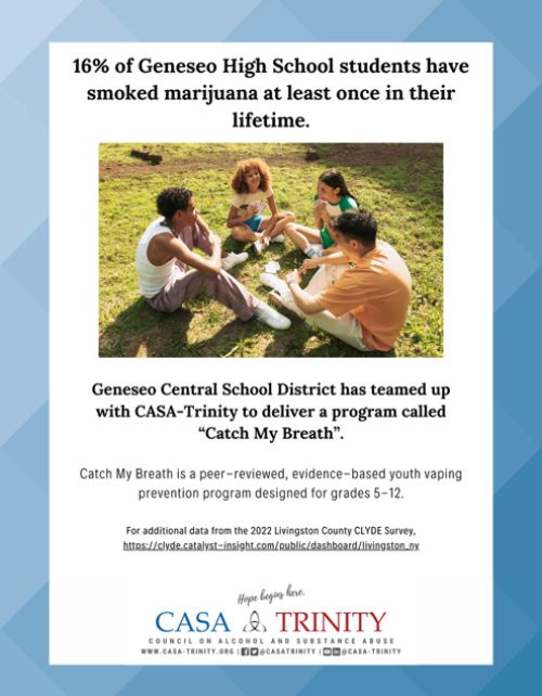 Mental Health Resources Geneseo Central School District