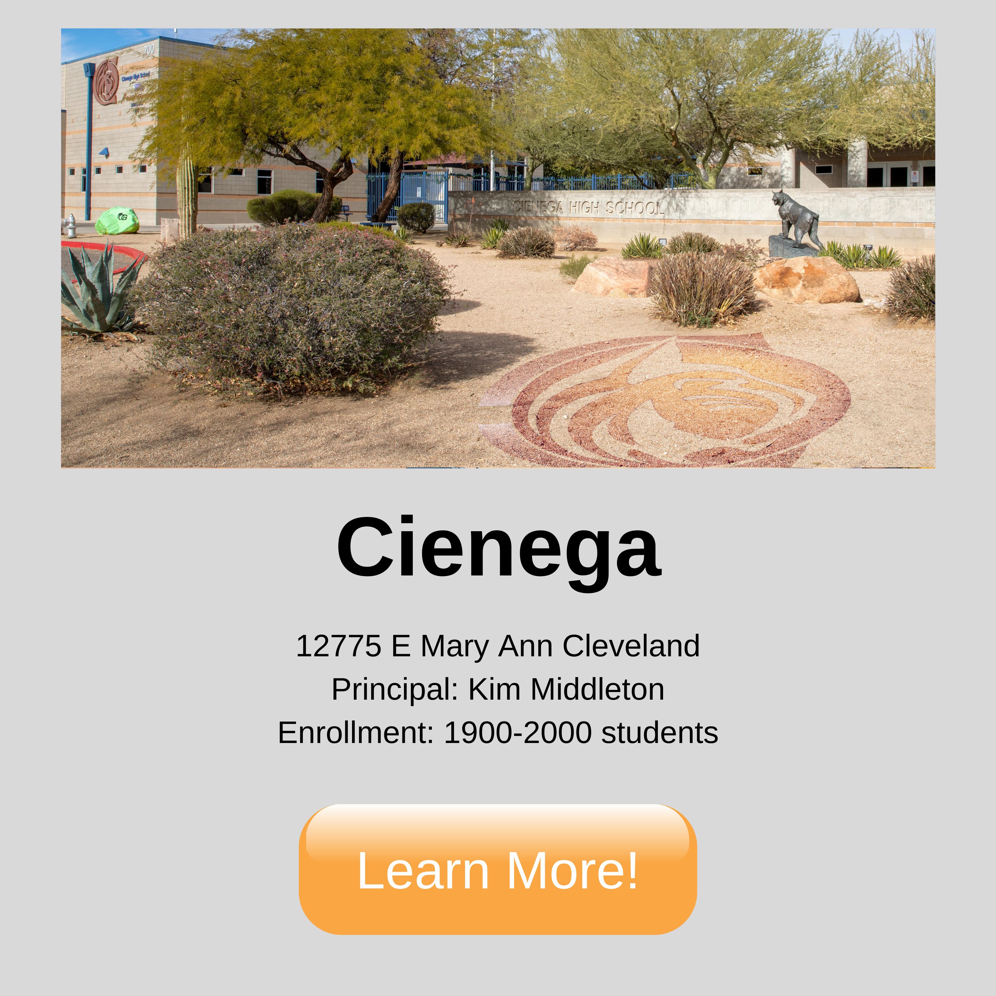 Cienega. 12775 E Mary Ann Cleveland Principal: Kim Middleton Enrollment: 1900-2000 students. Click to learn more.