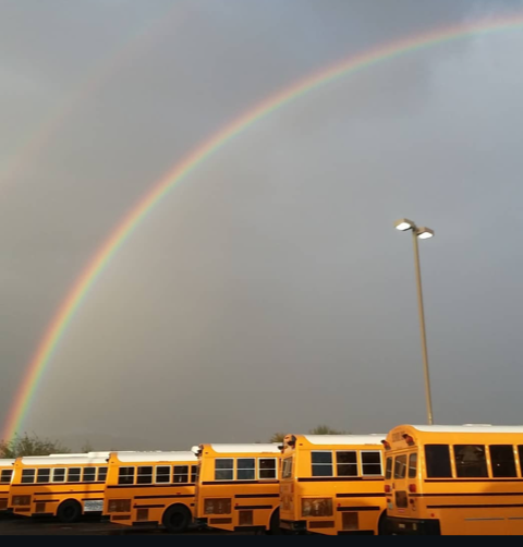 bus and rainbow