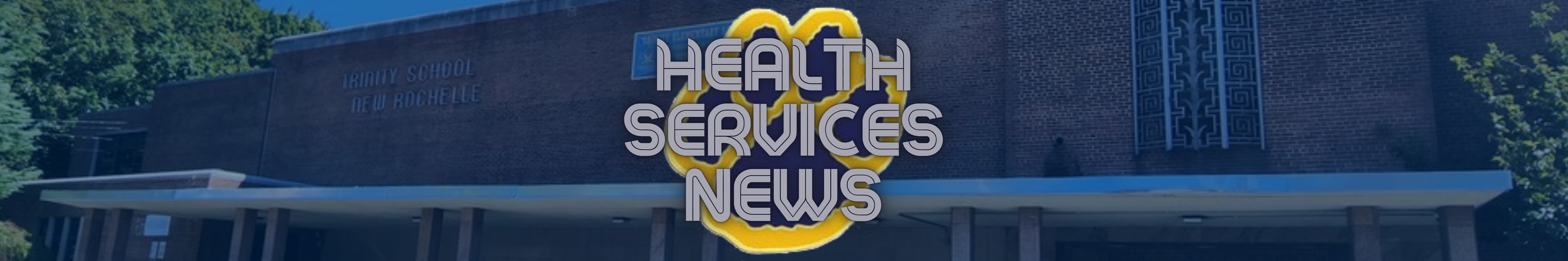 HEALTH SERVICES NEWS banner