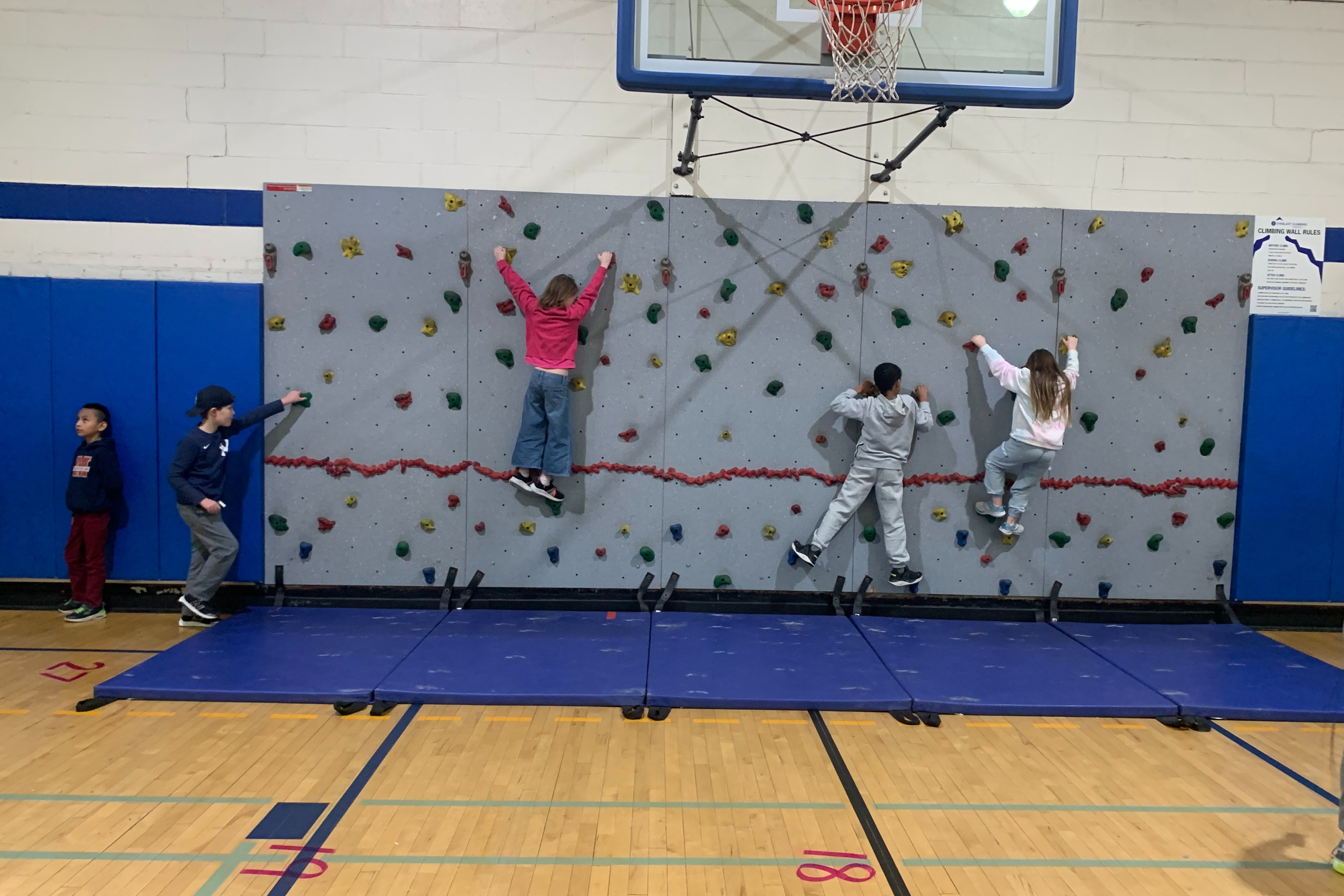 Students explore a climbing wall in physical education class