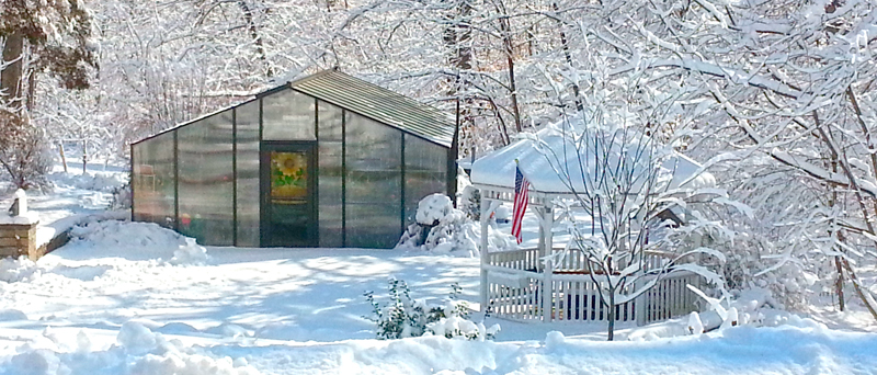 Amy's Greenhouse -Winter