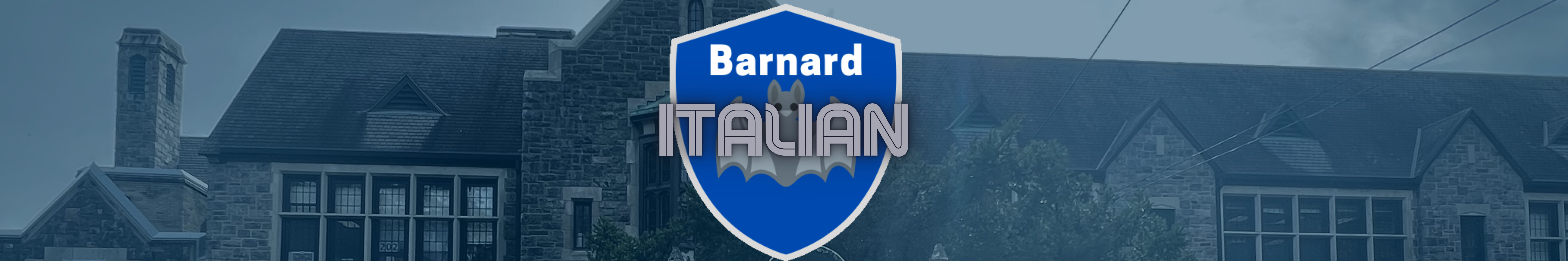 Italian banner