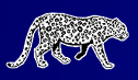 John Muir Logo John Muir Elementary School
