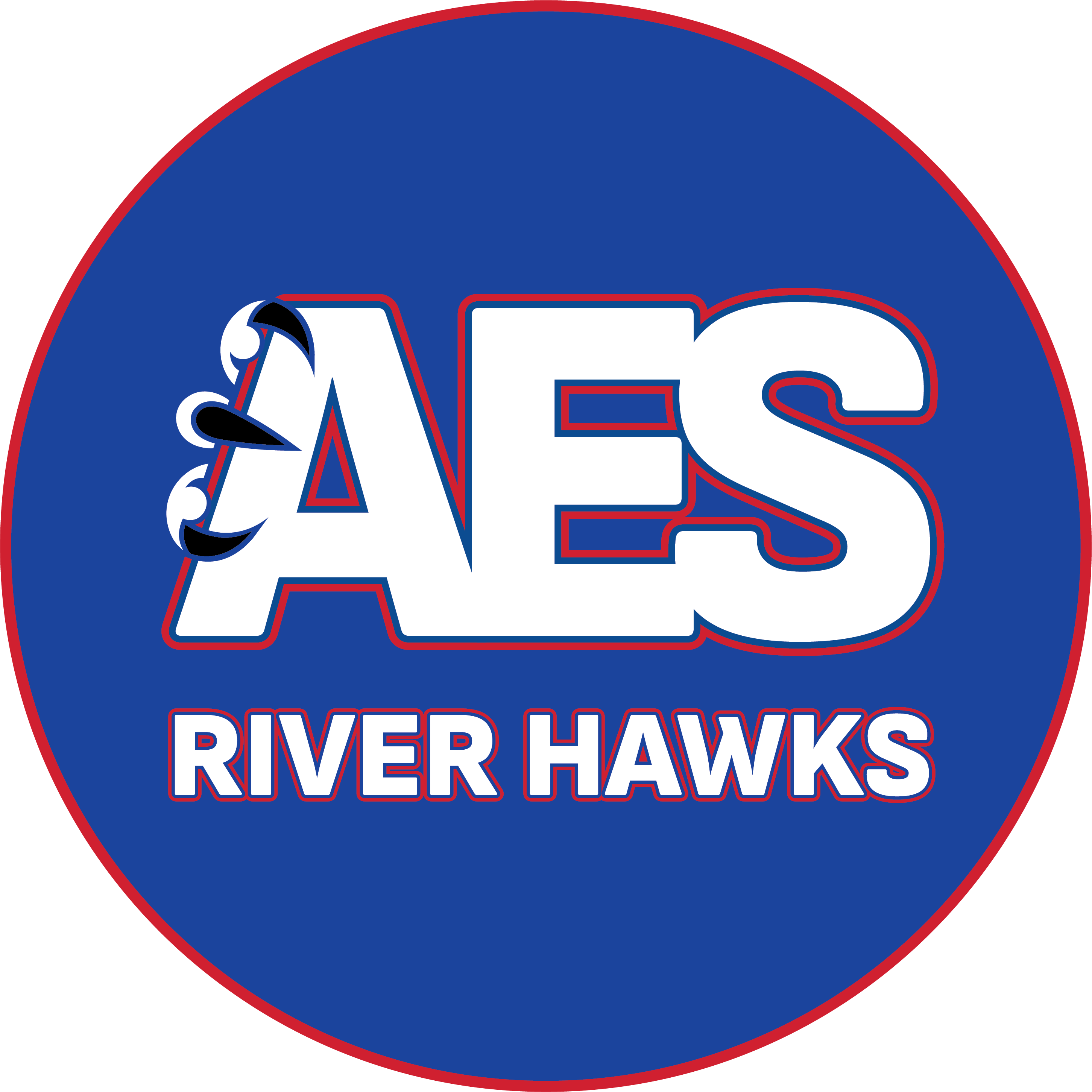 AES NEW LOGO