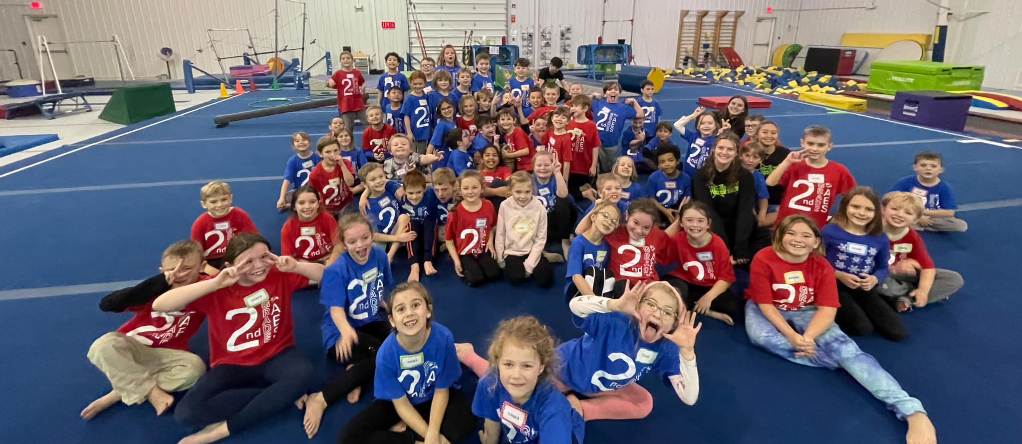 AES At Gymnastics