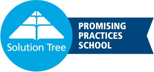 Promising Practices School