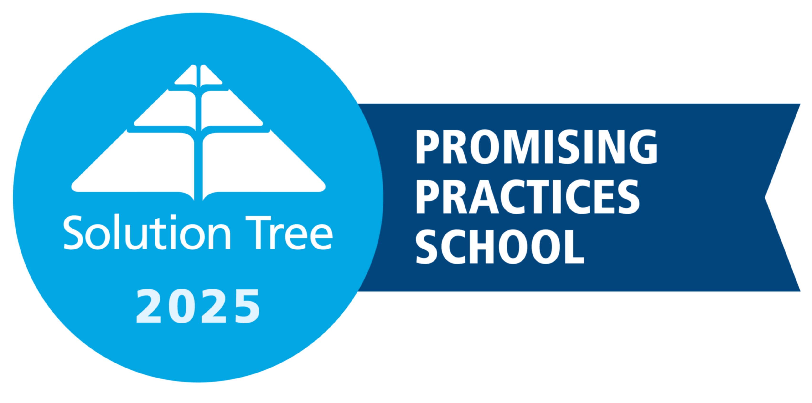 PLC Promising Practices School