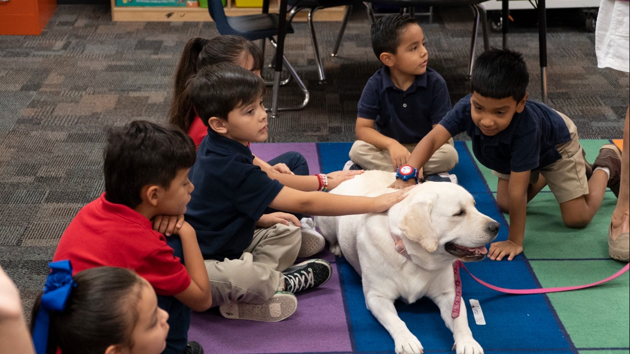 students sitting on floor petting a dog