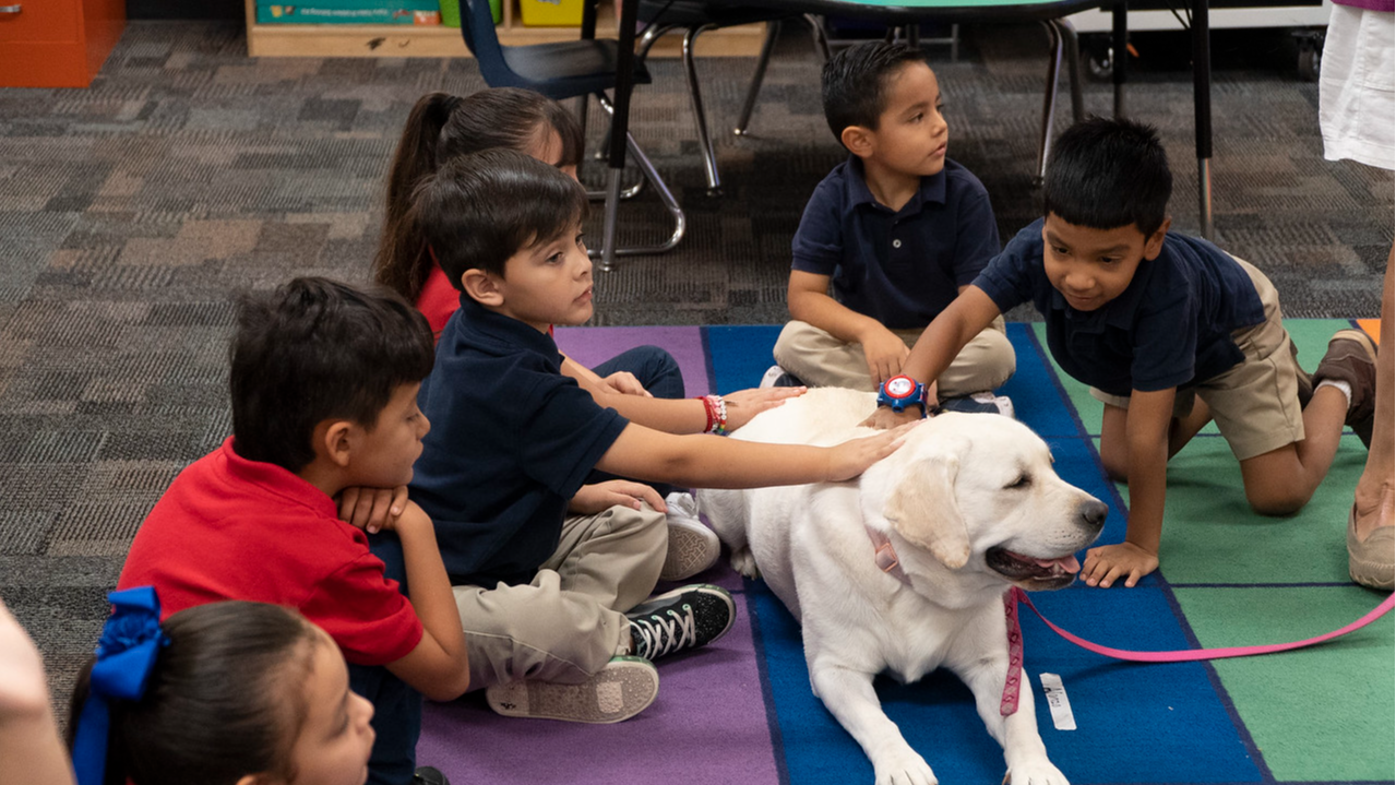 six students sitting on the floor petting a  dog