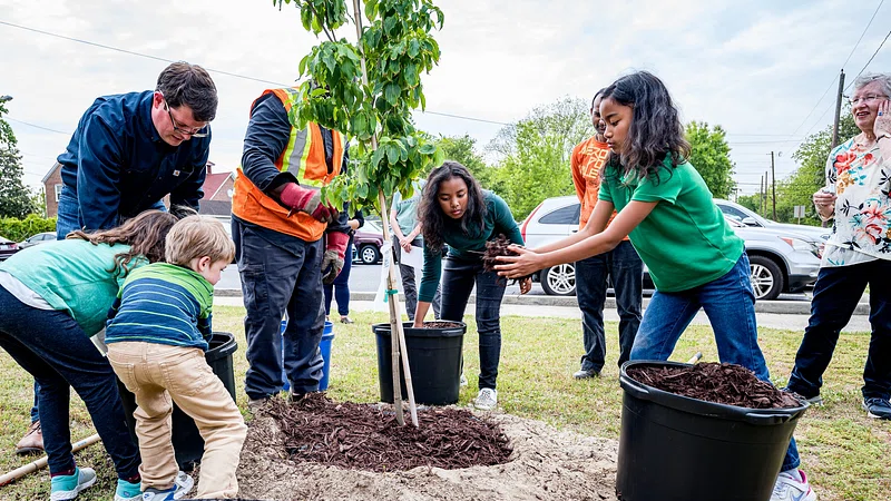 4 students and 4 adults planting trees