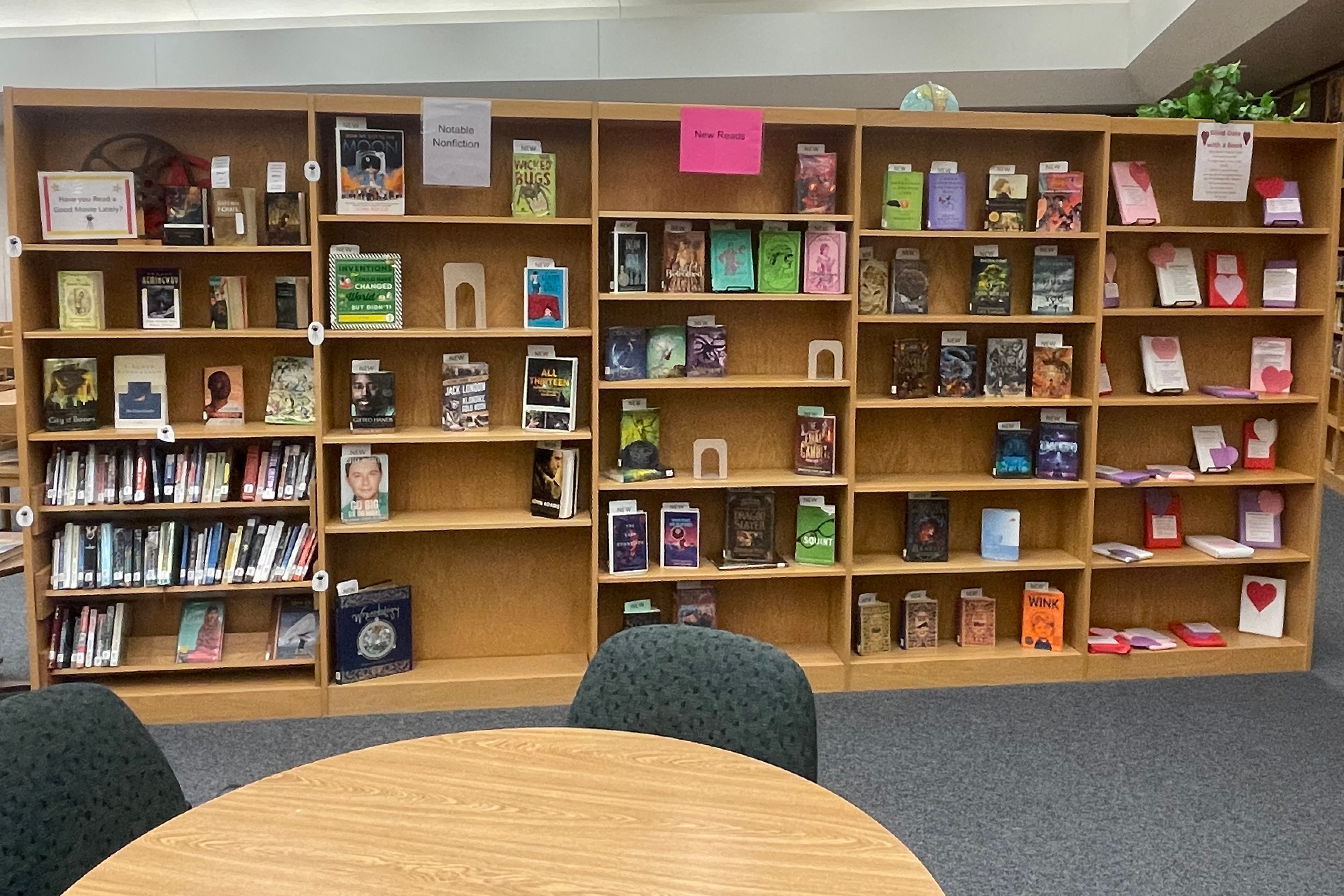 Library Shelves