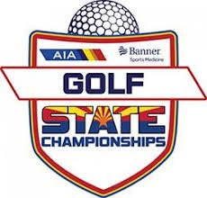 AIA STATE LOGO
