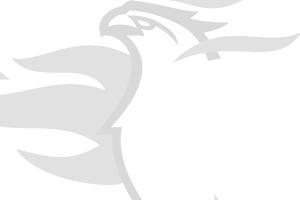 firebird logo for franklin schools